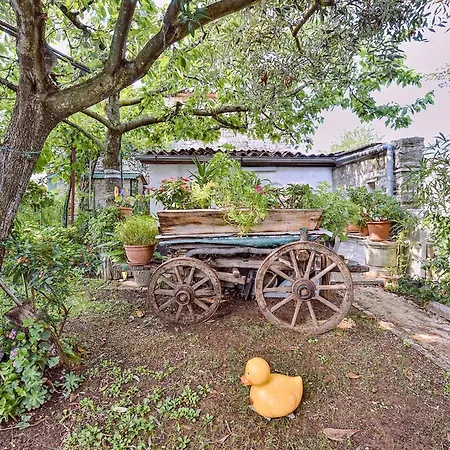 Welcoming With Garden Apartment Porec
